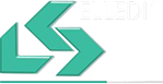 Elledi srl